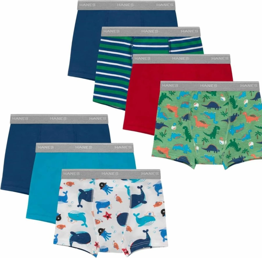 Hanes Boys' Potty Training Underwear - Light Leak-Proof Trainer Boxer Briefs for Toddlers (Multipack)