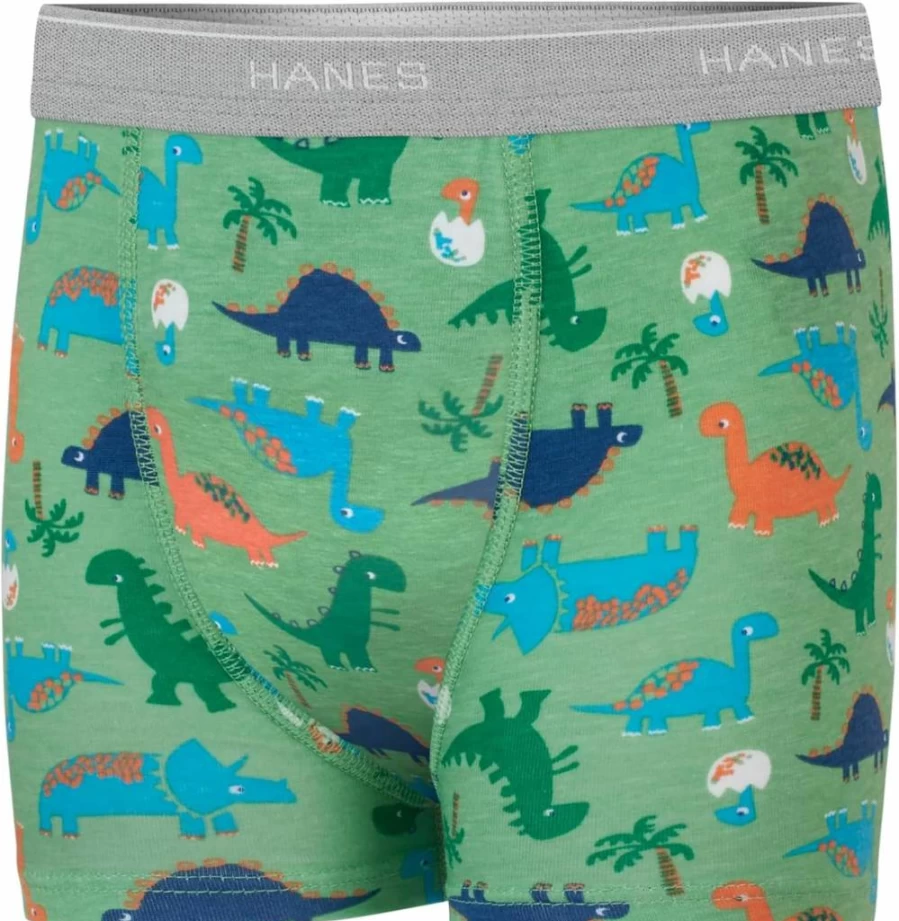 Hanes Boys' Potty Training Underwear - Light Leak-Proof Trainer Boxer Briefs for Toddlers (Multipack)