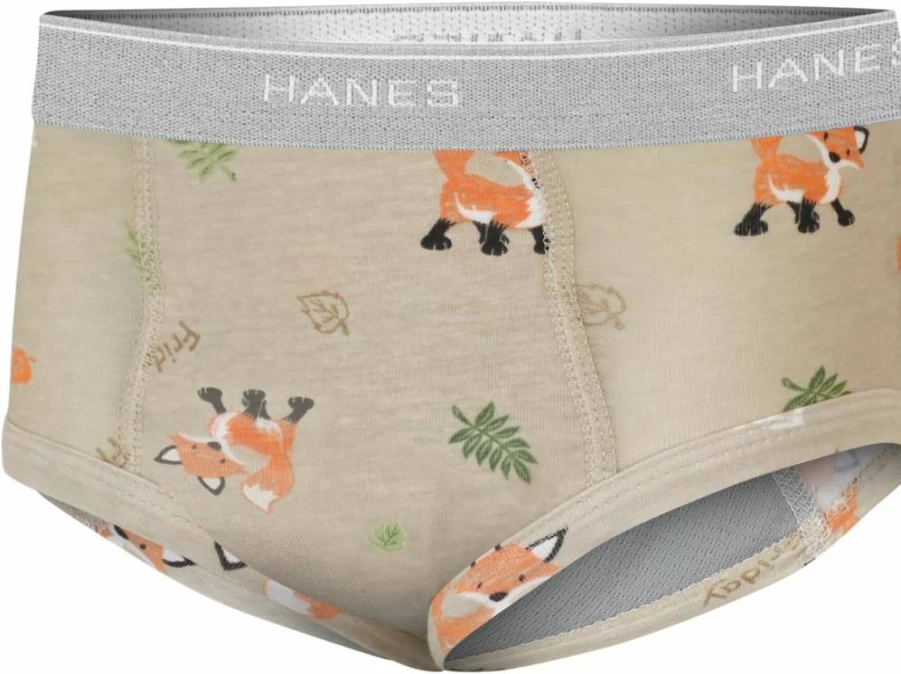 Hanes Boys' Potty Training Underwear - Light Leak-Proof Trainer Briefs for Toddlers, Multipack